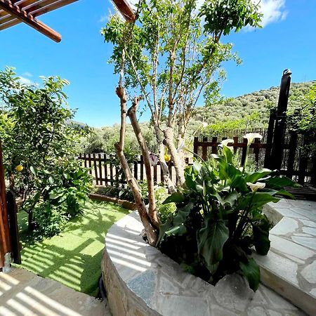 Platipodi Stone House Vila Nikithianos Exterior foto